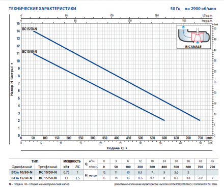 Pedrollo BC 10/50-ST 10м